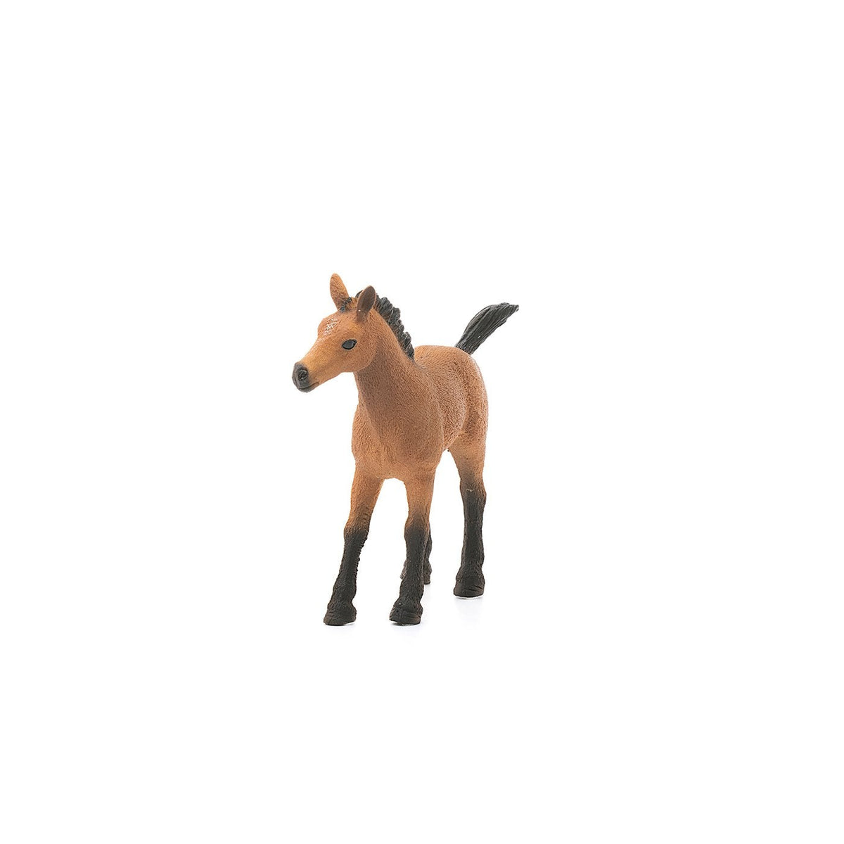 Schleich Quarter Horse Foal-13854-Animal Kingdoms Toy Store
