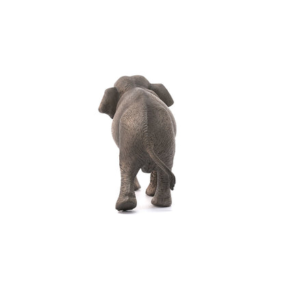 Schleich Asian Elephant Cow-14753-Animal Kingdoms Toy Store