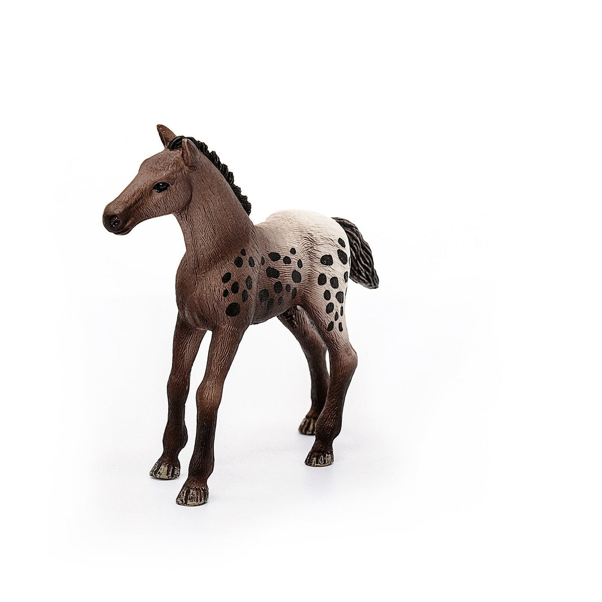 Schleich Appaloosa Foal-13862-Animal Kingdoms Toy Store