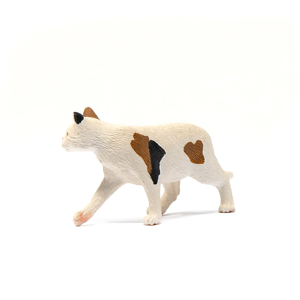 Schleich American Short hair Cat-13894-Animal Kingdoms Toy Store