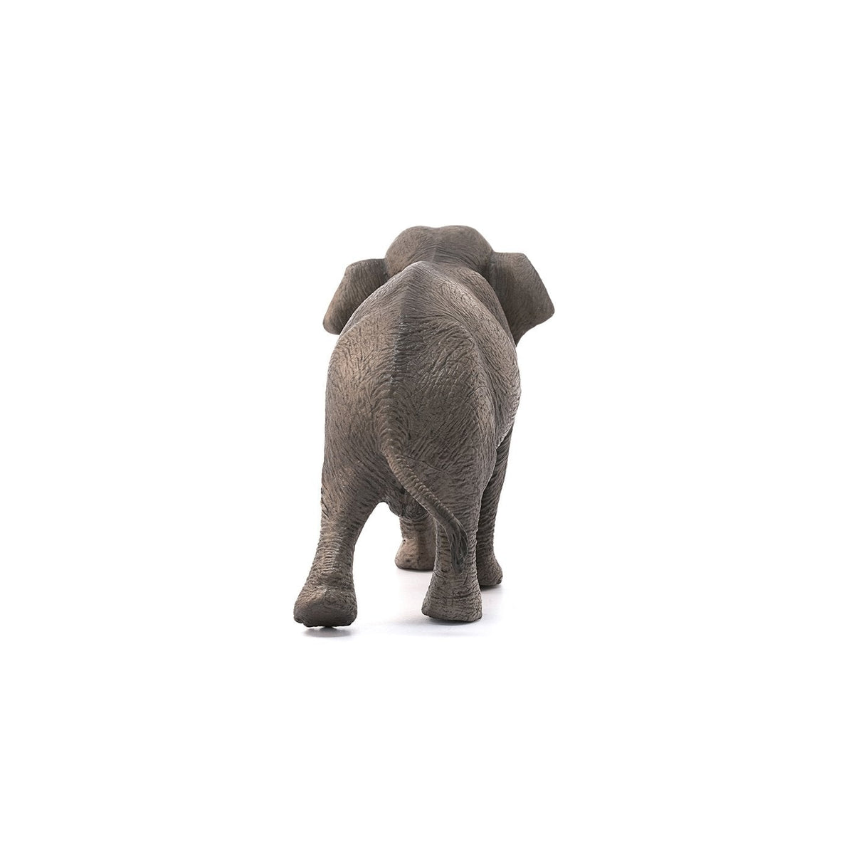 Schleich Asian Elephant Cow-14753-Animal Kingdoms Toy Store