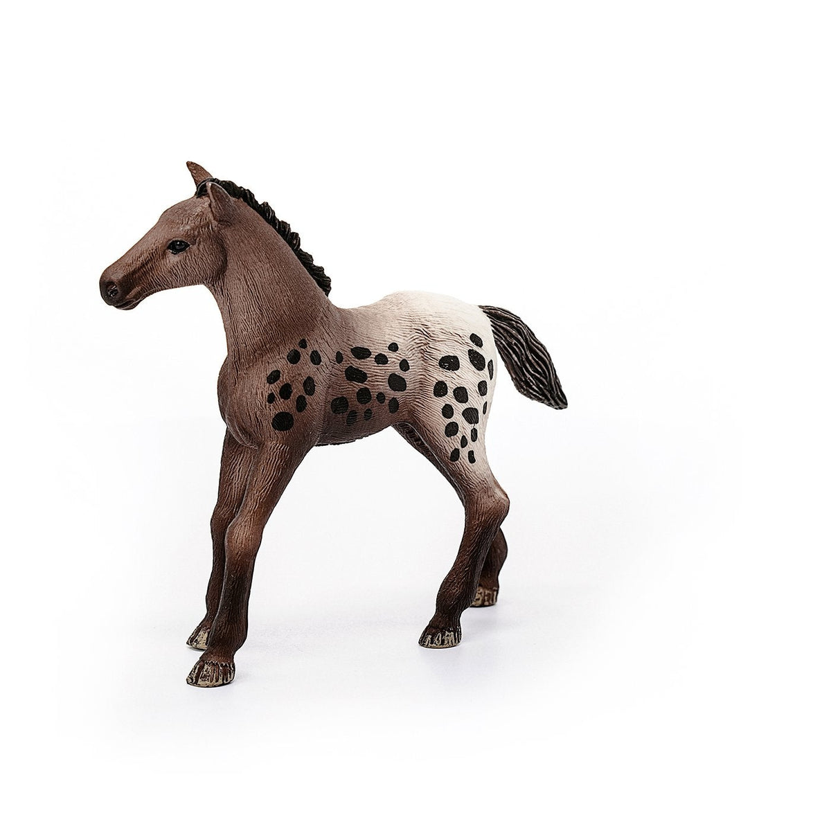 Schleich Appaloosa Foal-13862-Animal Kingdoms Toy Store