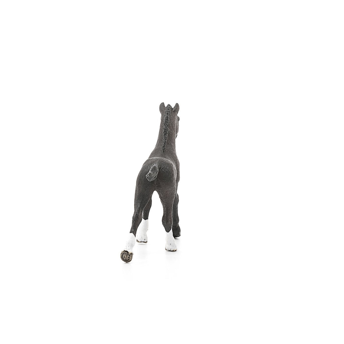 Schleich Arabian Foal-13762-Animal Kingdoms Toy Store