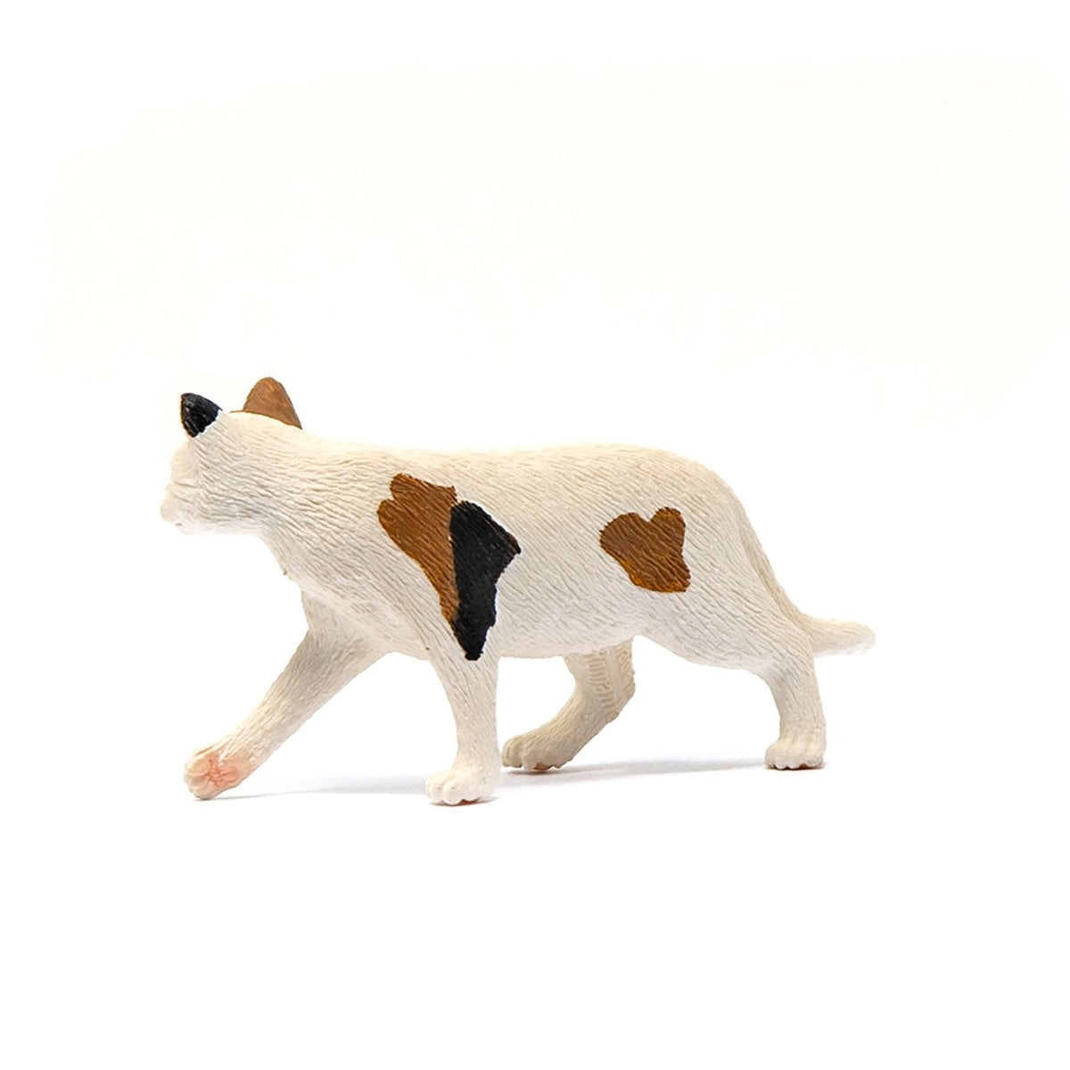 Schleich American Short hair Cat-13894-Animal Kingdoms Toy Store
