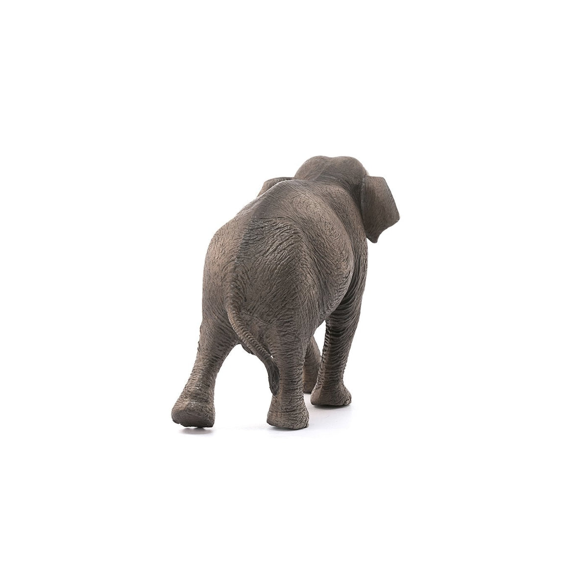 Schleich Asian Elephant Cow-14753-Animal Kingdoms Toy Store