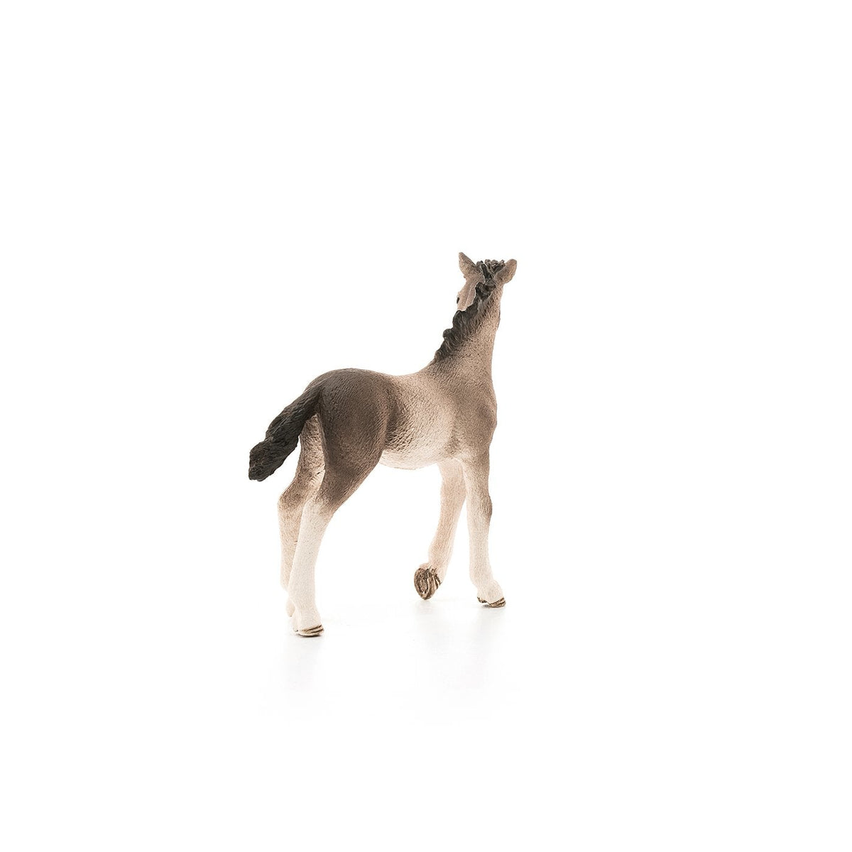 Schleich Andalusian Foal-13822-Animal Kingdoms Toy Store