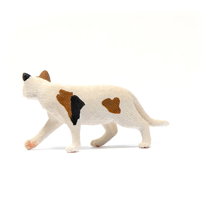 Schleich American Short hair Cat-13894-Animal Kingdoms Toy Store