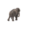 Schleich Asian Elephant Cow-14753-Animal Kingdoms Toy Store