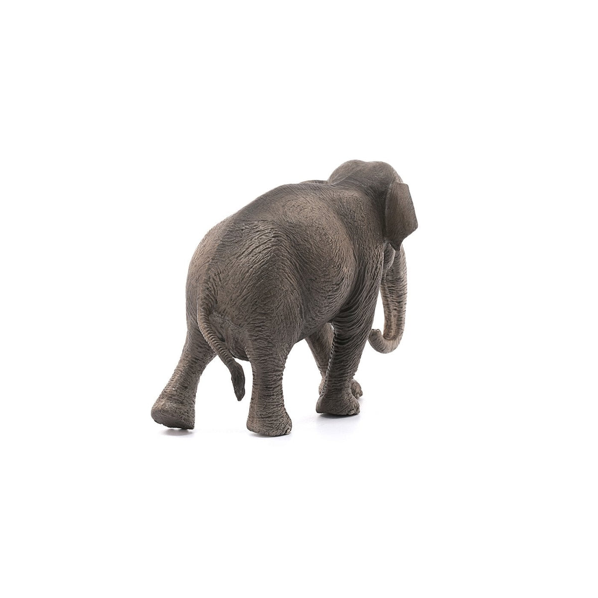 Schleich Asian Elephant Cow-14753-Animal Kingdoms Toy Store