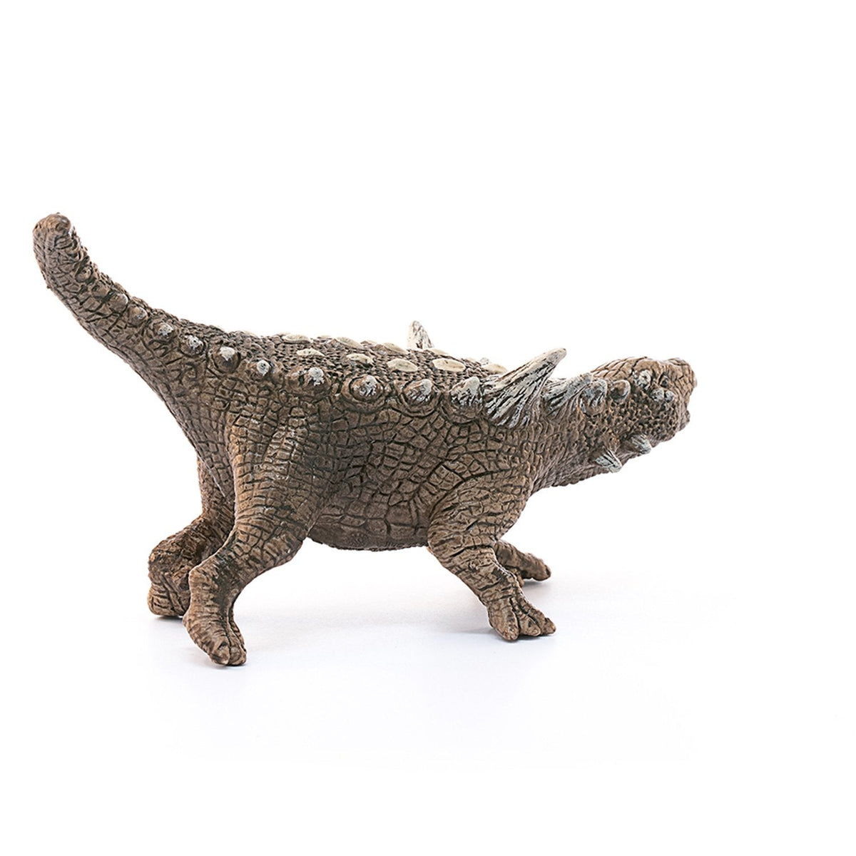Schleich Animantarx-15013-Animal Kingdoms Toy Store
