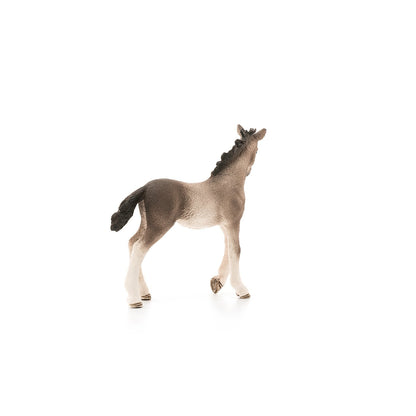 Schleich Andalusian Foal-13822-Animal Kingdoms Toy Store