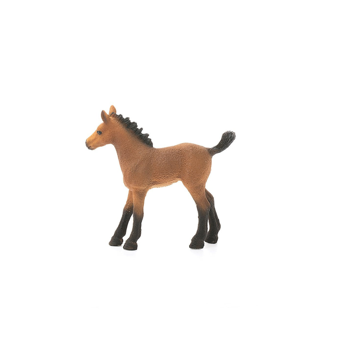 Schleich Quarter Horse Foal-13854-Animal Kingdoms Toy Store