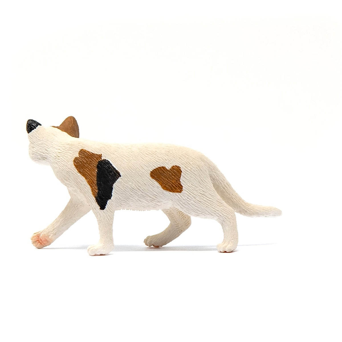 Schleich American Short hair Cat-13894-Animal Kingdoms Toy Store