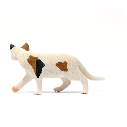 Schleich American Short hair Cat-13894-Animal Kingdoms Toy Store