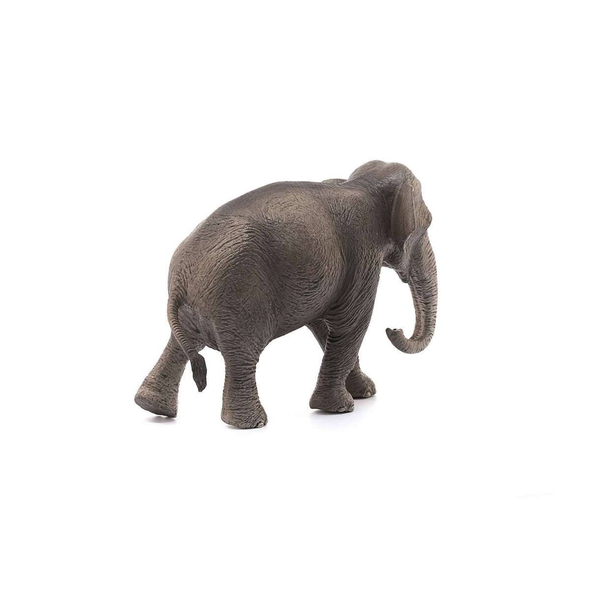 Schleich Asian Elephant Cow-14753-Animal Kingdoms Toy Store