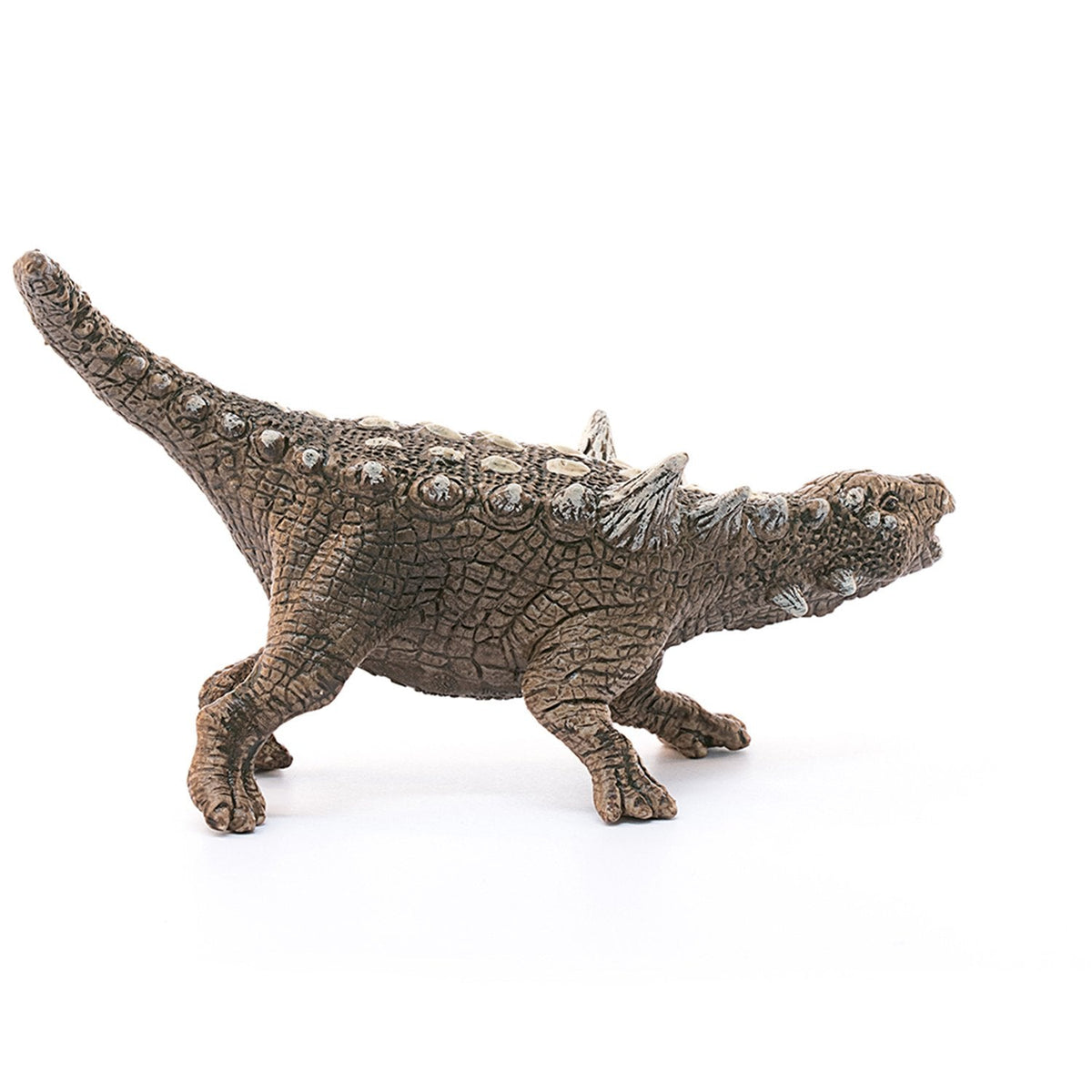 Schleich Animantarx-15013-Animal Kingdoms Toy Store