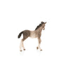 Schleich Andalusian Foal-13822-Animal Kingdoms Toy Store