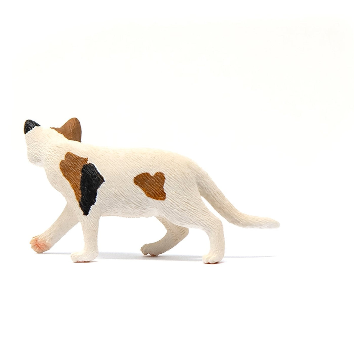 Schleich American Short hair Cat-13894-Animal Kingdoms Toy Store