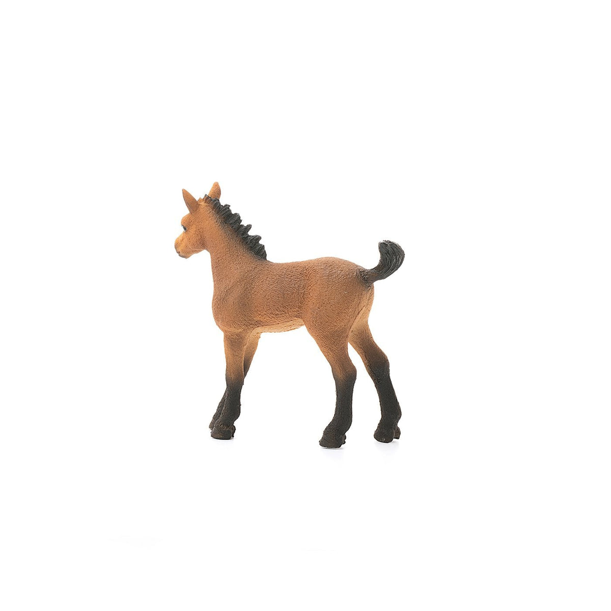 Schleich Quarter Horse Foal-13854-Animal Kingdoms Toy Store