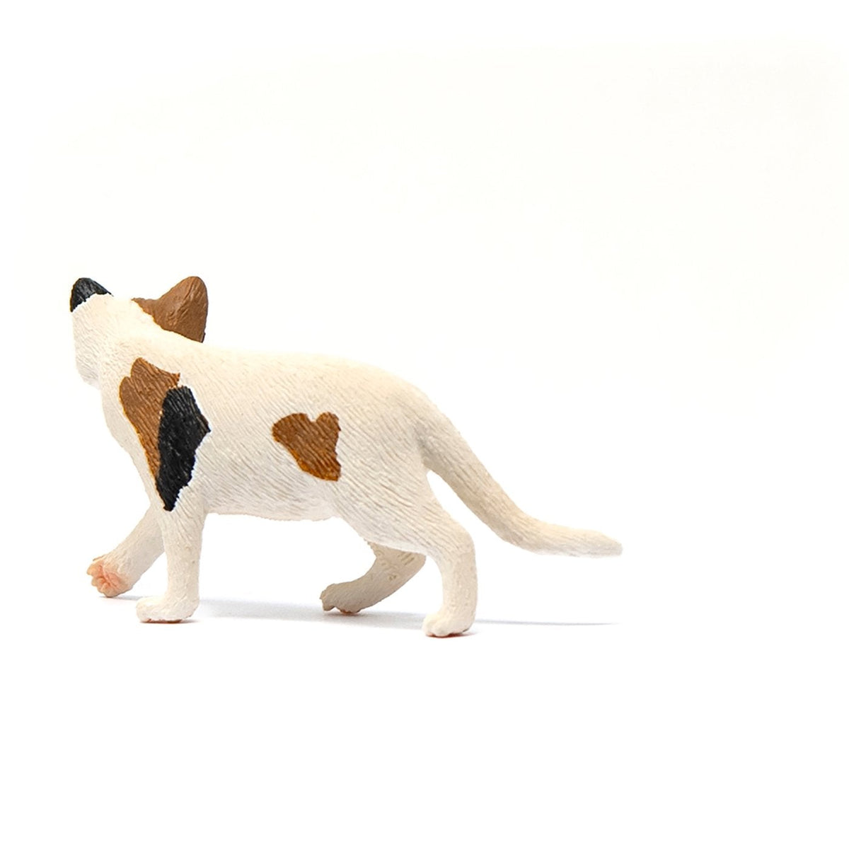 Schleich American Short hair Cat-13894-Animal Kingdoms Toy Store