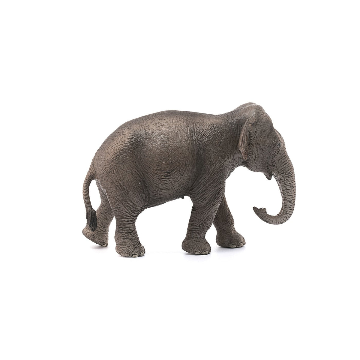 Schleich Asian Elephant Cow-14753-Animal Kingdoms Toy Store