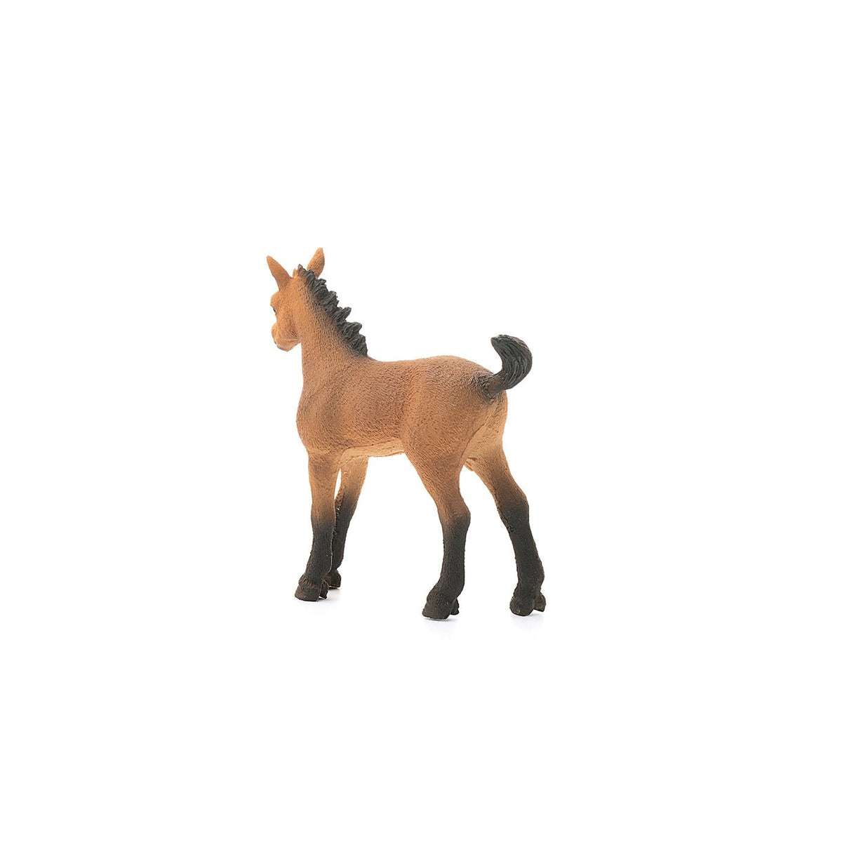 Schleich Quarter Horse Foal-13854-Animal Kingdoms Toy Store