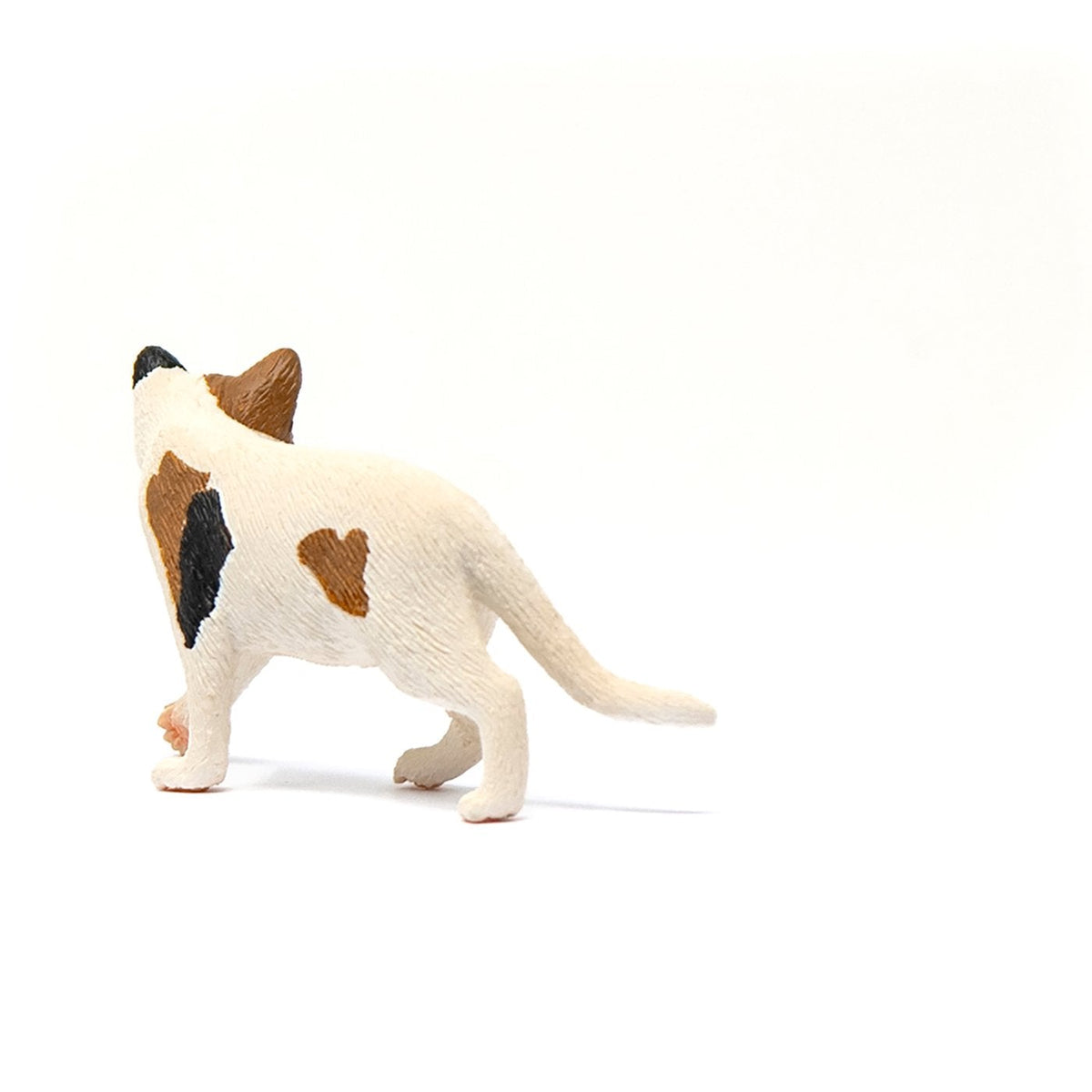 Schleich American Short hair Cat-13894-Animal Kingdoms Toy Store
