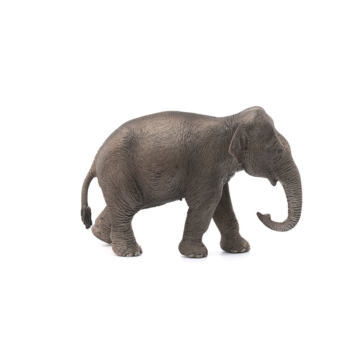 Schleich Asian Elephant Cow-14753-Animal Kingdoms Toy Store