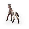 Schleich Appaloosa Foal-13862-Animal Kingdoms Toy Store