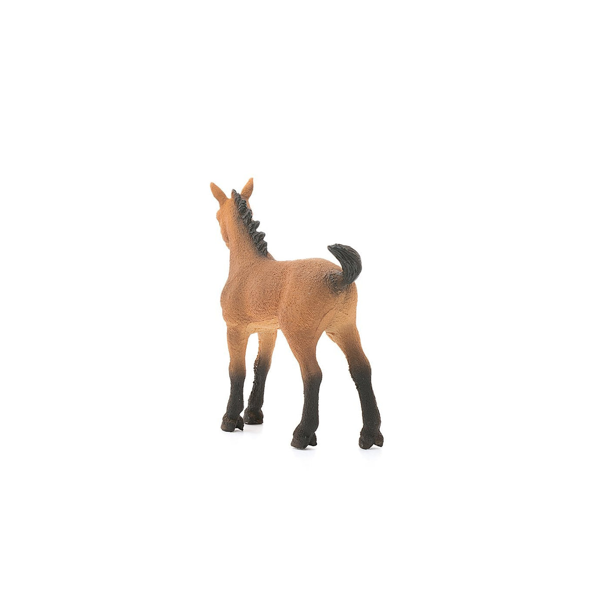 Schleich Quarter Horse Foal-13854-Animal Kingdoms Toy Store