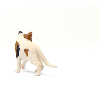 Schleich American Short hair Cat-13894-Animal Kingdoms Toy Store