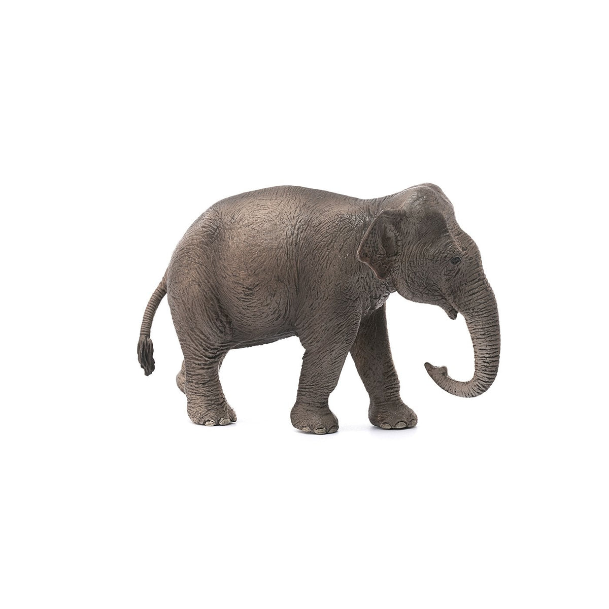 Schleich Asian Elephant Cow-14753-Animal Kingdoms Toy Store