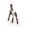 Schleich Appaloosa Foal-13862-Animal Kingdoms Toy Store