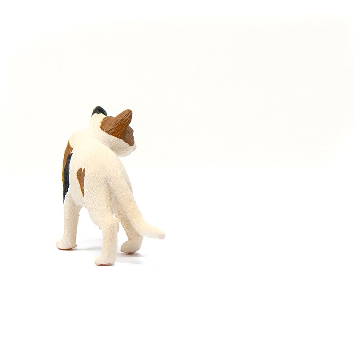 Schleich American Short hair Cat-13894-Animal Kingdoms Toy Store