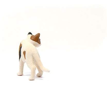 Schleich American Short hair Cat-13894-Animal Kingdoms Toy Store