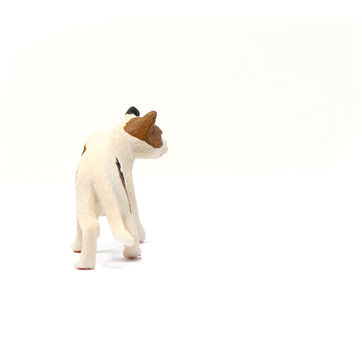 Schleich American Short hair Cat-13894-Animal Kingdoms Toy Store