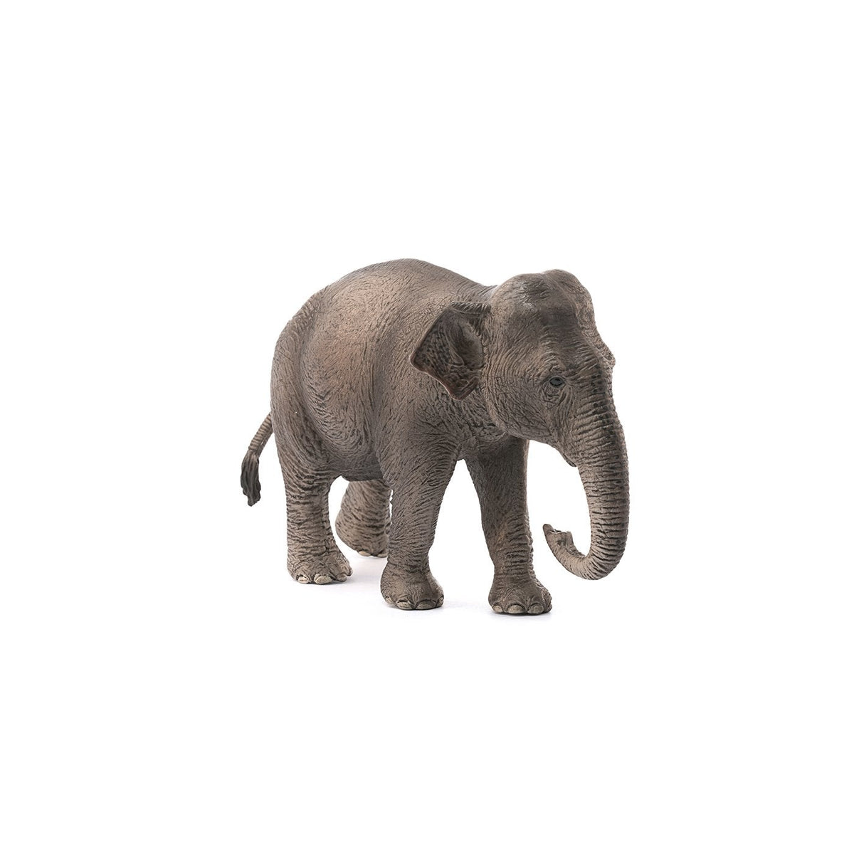 Schleich Asian Elephant Cow-14753-Animal Kingdoms Toy Store