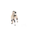 Schleich Andalusian Mare-13793-Animal Kingdoms Toy Store