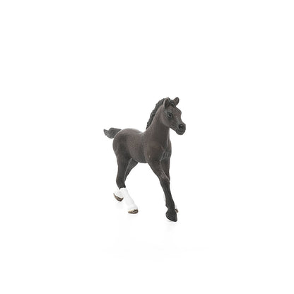 Schleich Arabian Foal-13762-Animal Kingdoms Toy Store