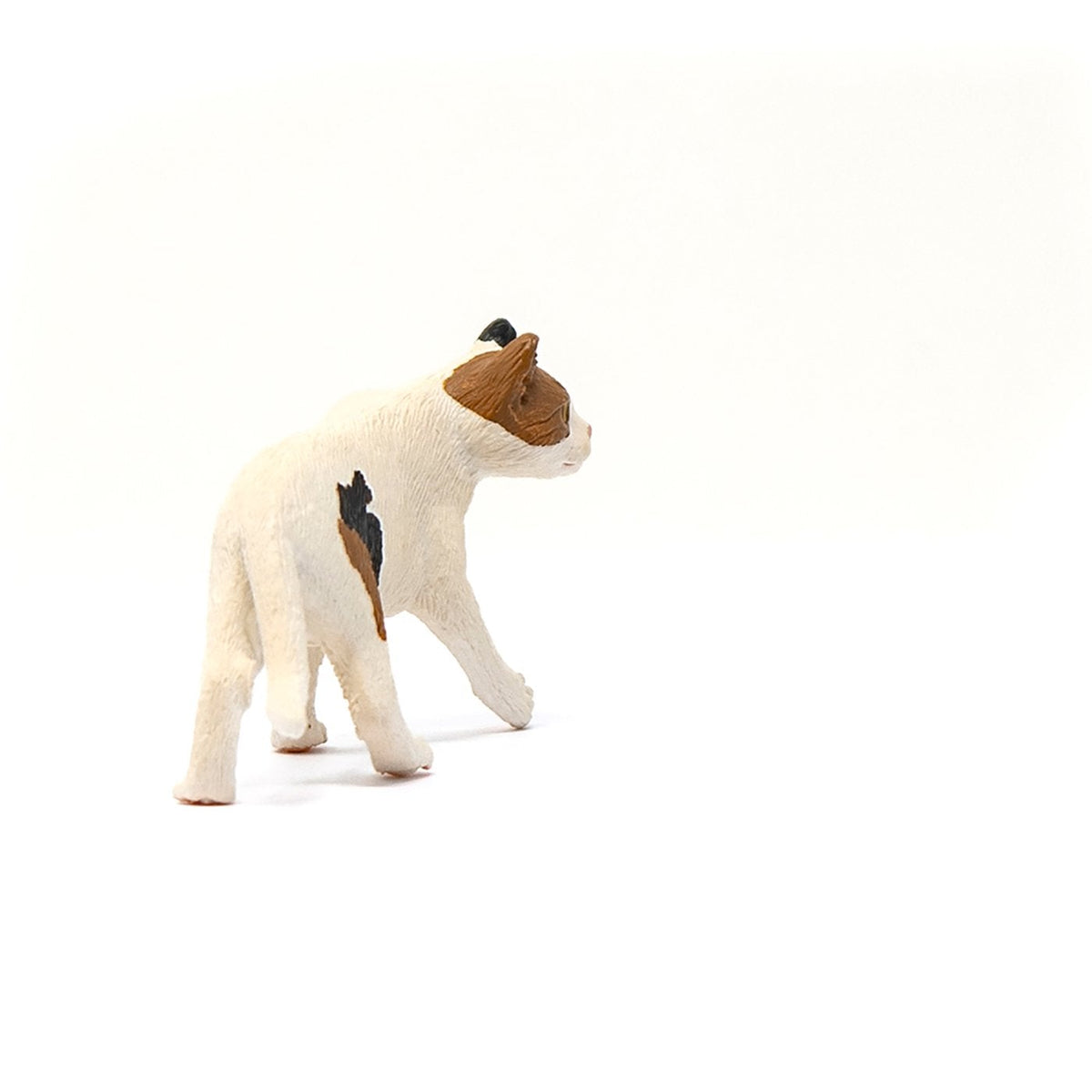 Schleich American Short hair Cat-13894-Animal Kingdoms Toy Store