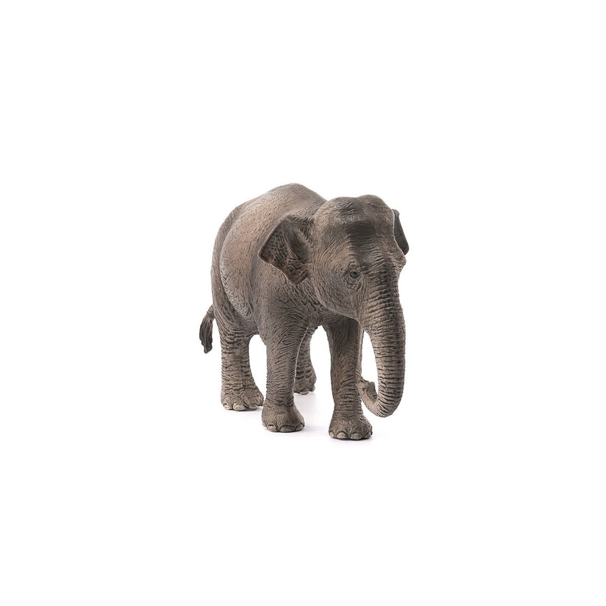 Schleich Asian Elephant Cow-14753-Animal Kingdoms Toy Store