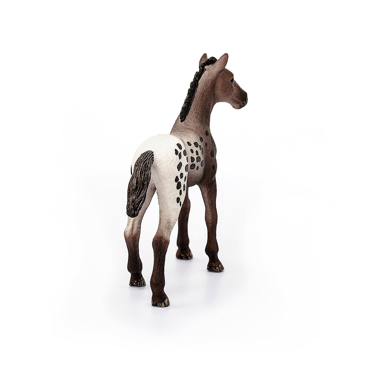 Schleich Appaloosa Foal-13862-Animal Kingdoms Toy Store