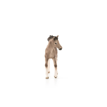Schleich Andalusian Foal-13822-Animal Kingdoms Toy Store