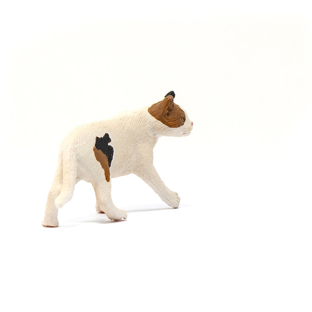 Schleich American Short hair Cat-13894-Animal Kingdoms Toy Store