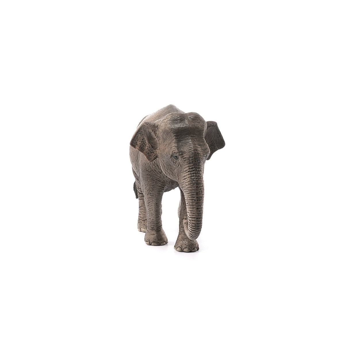 Schleich Asian Elephant Cow-14753-Animal Kingdoms Toy Store