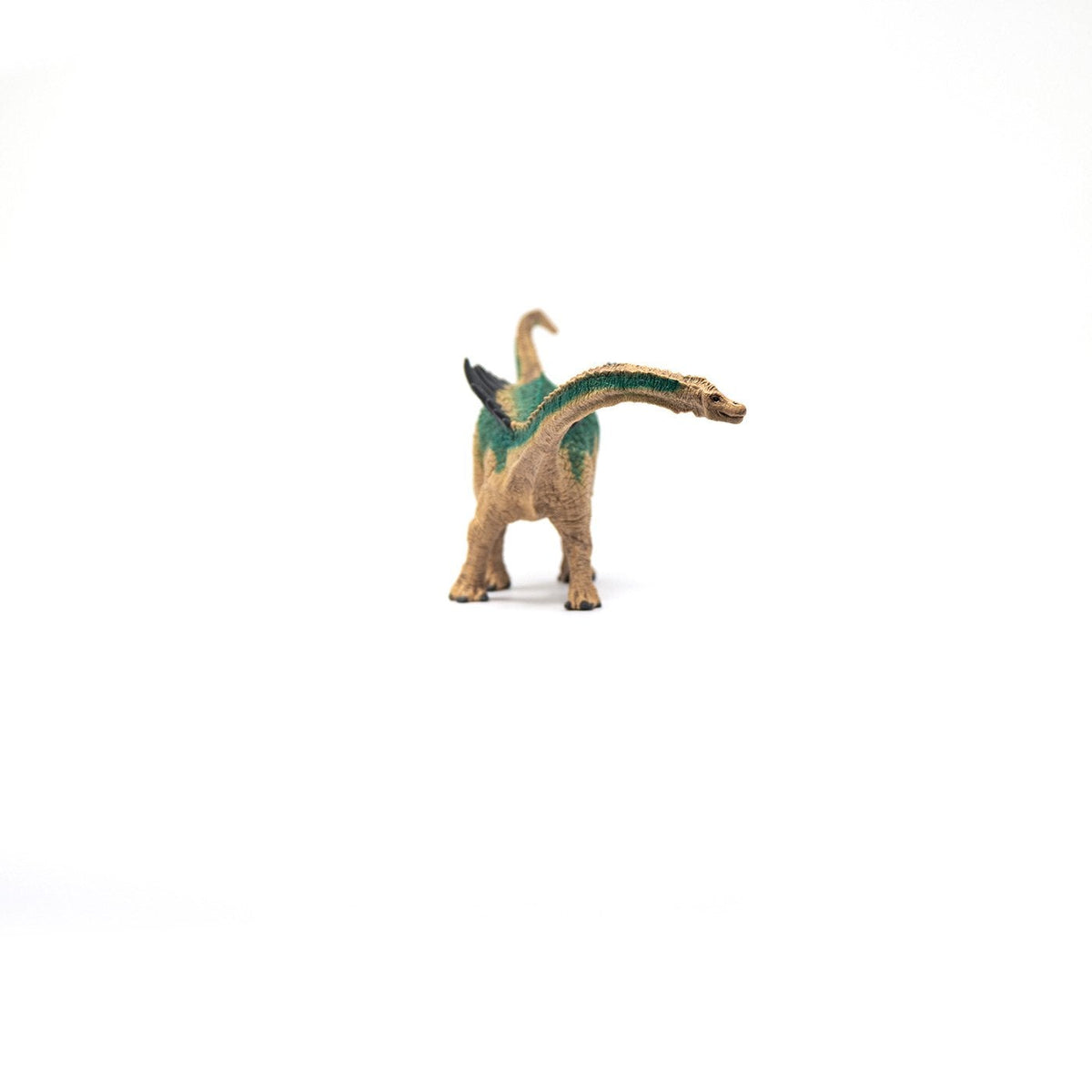 Schleich Agustinia-15021-Animal Kingdoms Toy Store