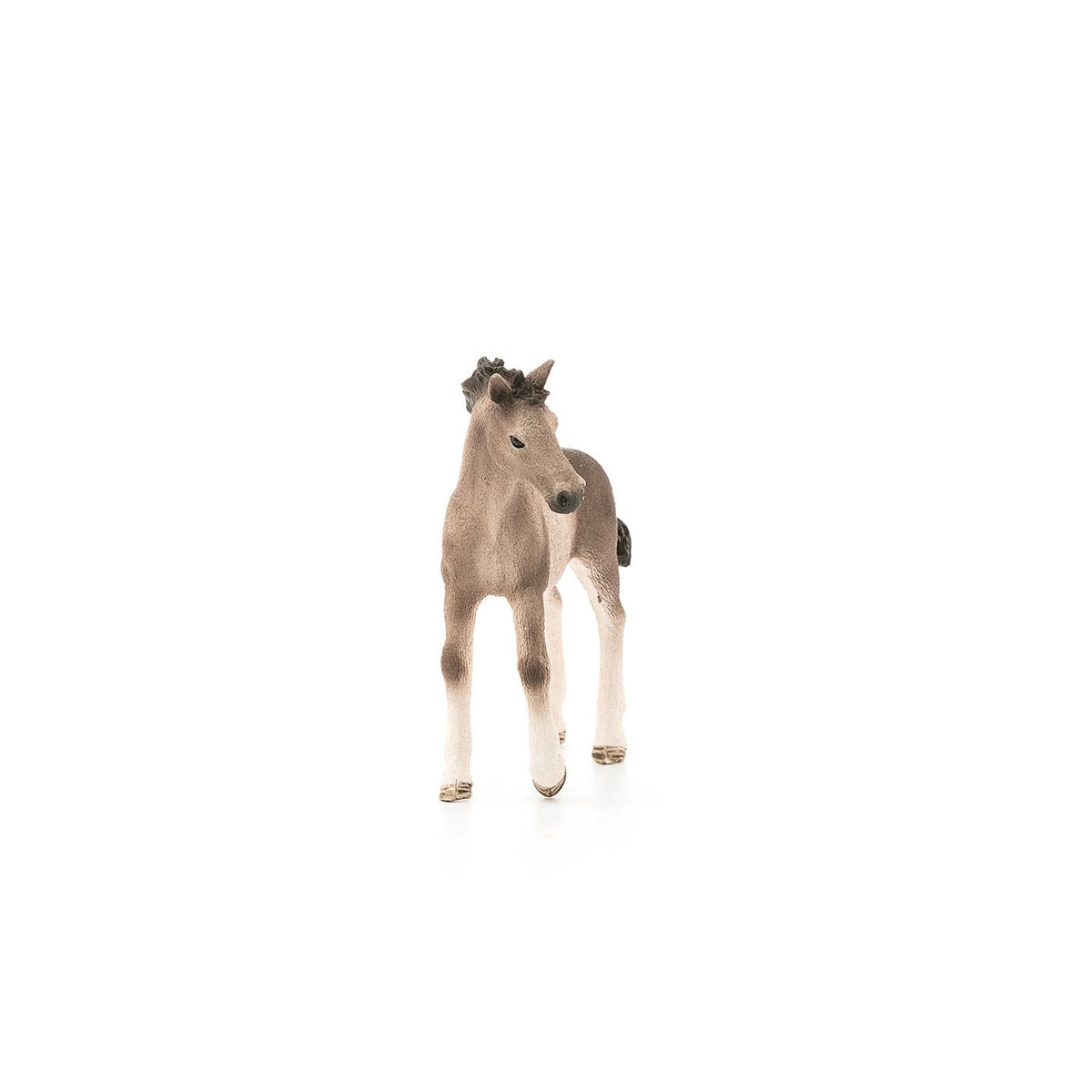 Schleich Andalusian Foal-13822-Animal Kingdoms Toy Store