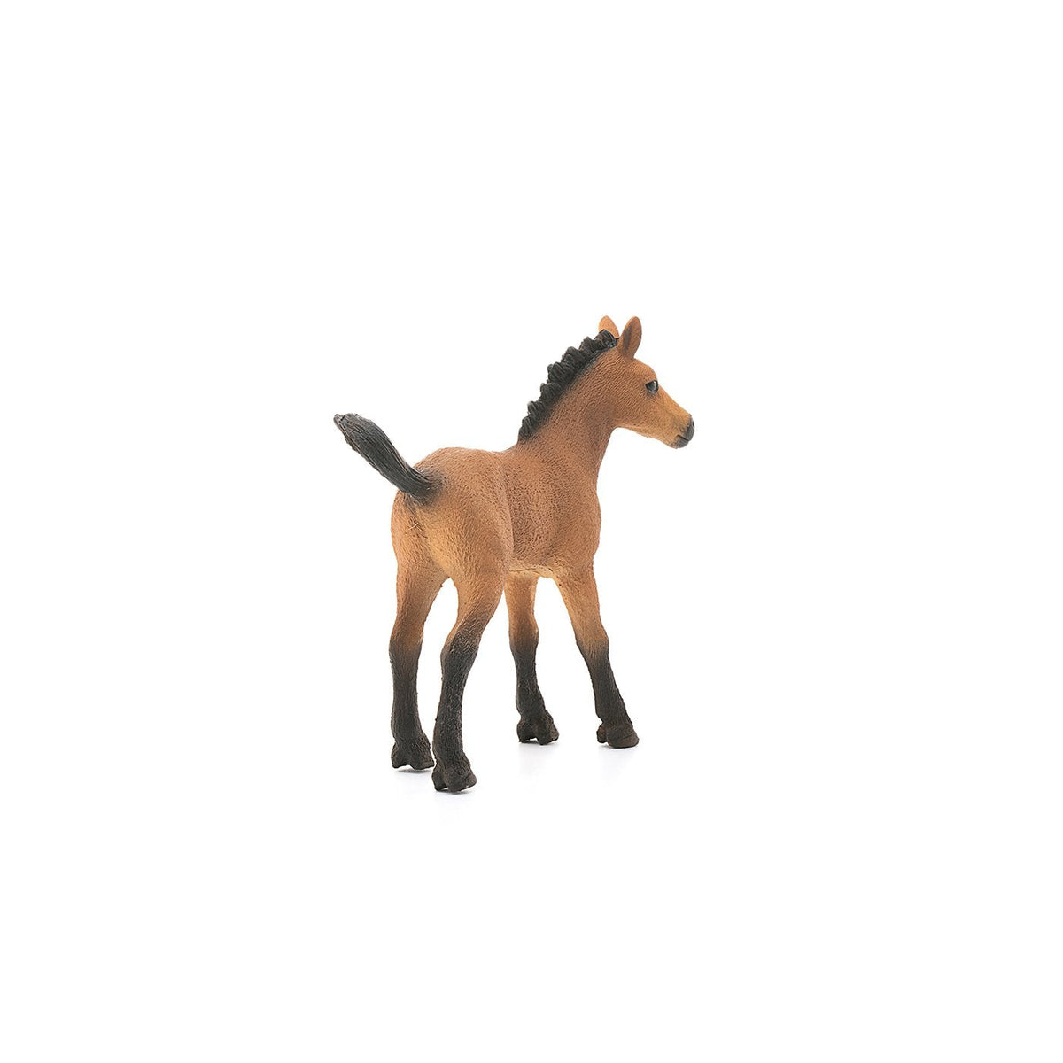 Schleich Quarter Horse Foal-13854-Animal Kingdoms Toy Store