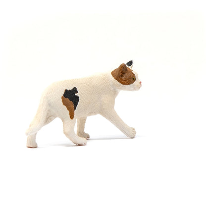Schleich American Short hair Cat-13894-Animal Kingdoms Toy Store