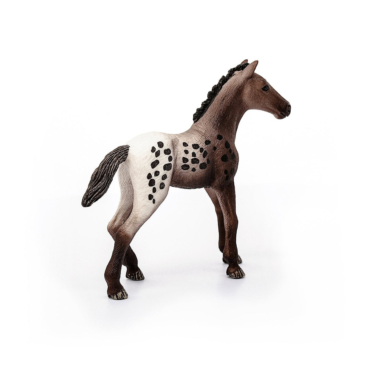 Schleich Appaloosa Foal-13862-Animal Kingdoms Toy Store